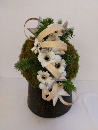 Noel 3