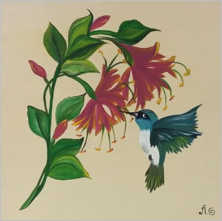 Colibri