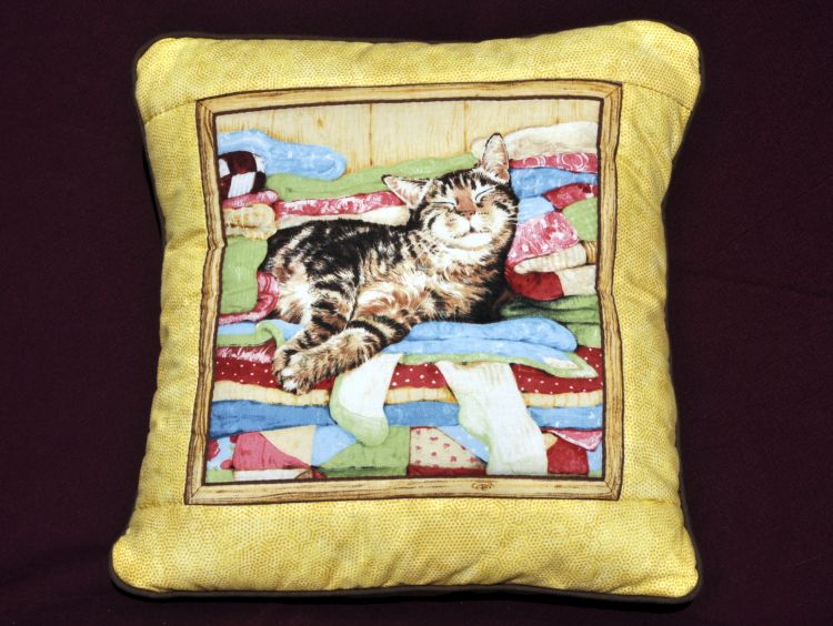 Coussin chat - vidéos disponibles dans 