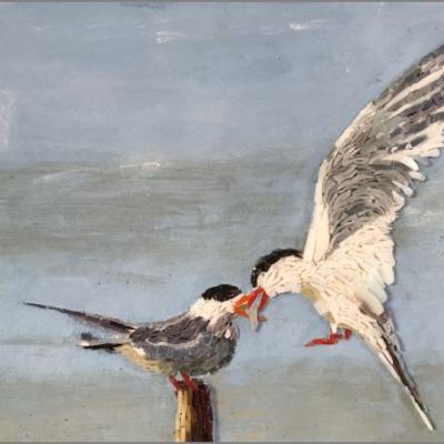 Oiseaux