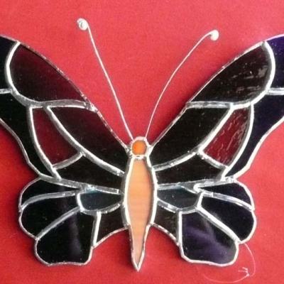 Papillon
