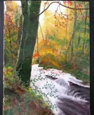 Promenade en forêt